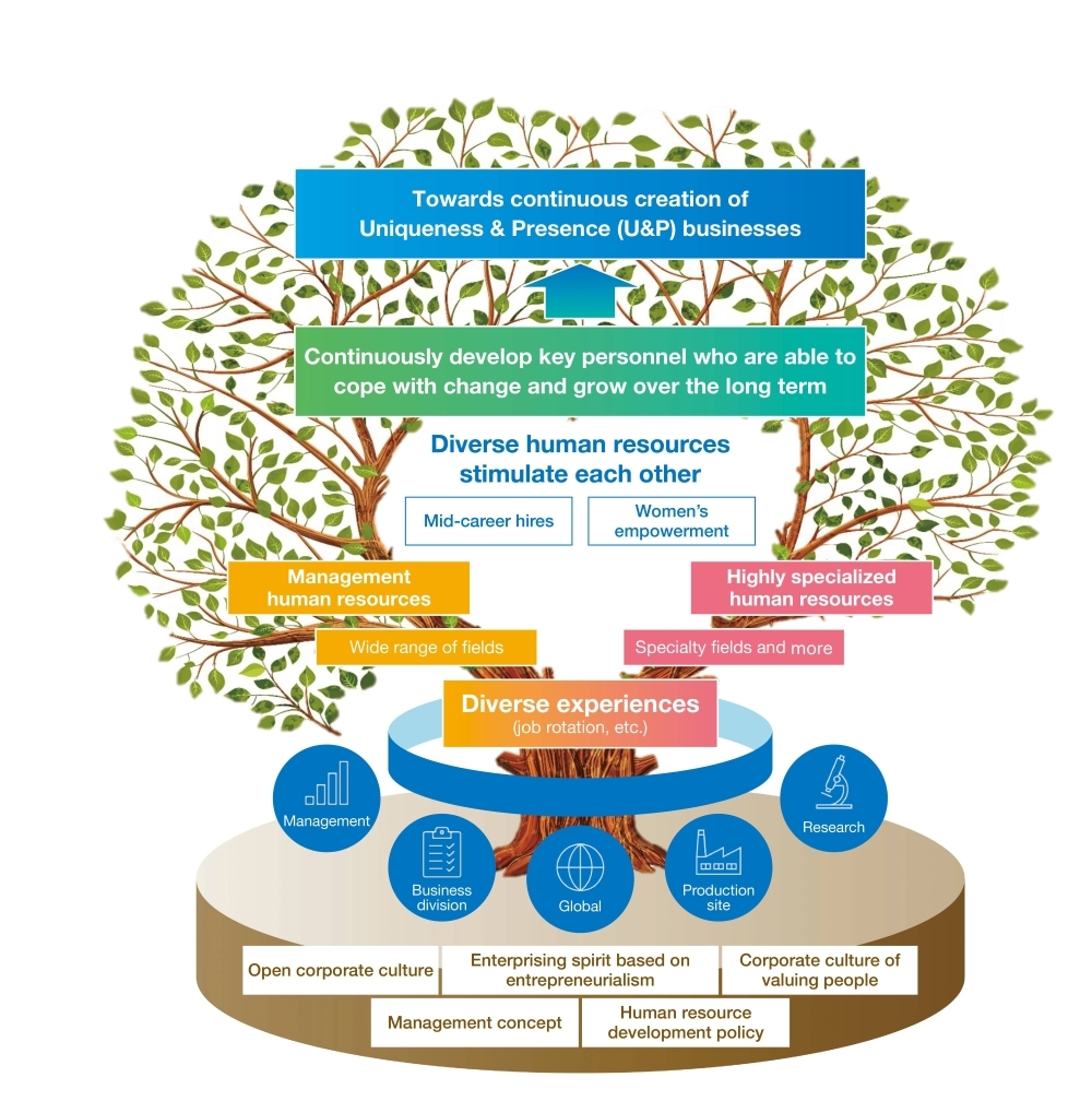 figure：Overall Image of Human Resource Strategy